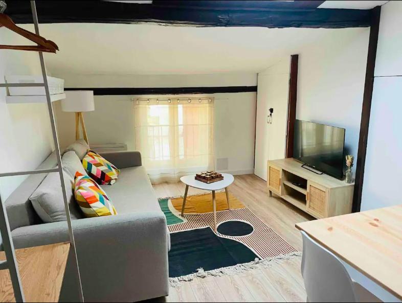 Le Grand Studio Castres  Extérieur photo
